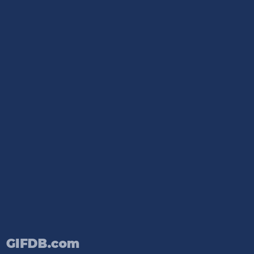 White Wine Bottle Surrounded By Balloons GIF