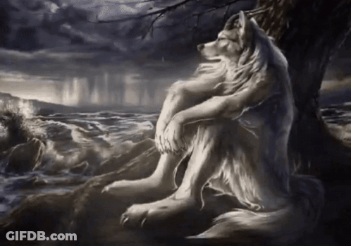 White Wolf Sitting Under Tree GIF