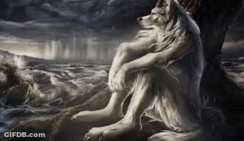 White Wolf Sitting Under Tree Near Ocean GIF