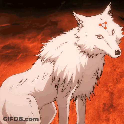 White Wolf With Red Eyes Standing In Field GIF