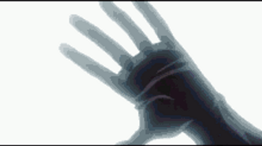 Whitebeard Edward Newgate One Piece Angry GIF