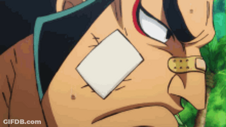 Whitebeard Ode Kozuki Laughing Drinking Alcohol GIF