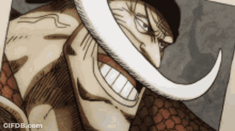 Whitebeard One Piece Anime Wanted Reward Prize Money GIF
