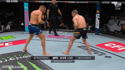 Whittaker Loses Again Is Anyone Shocked GIF