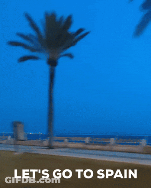 Whizzing Palm Trees Spain Car Ride GIF
