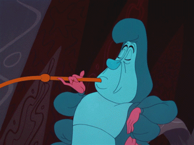 Who Are You Alice In Wonderland GIF