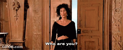 Who Are You - Cher GIF
