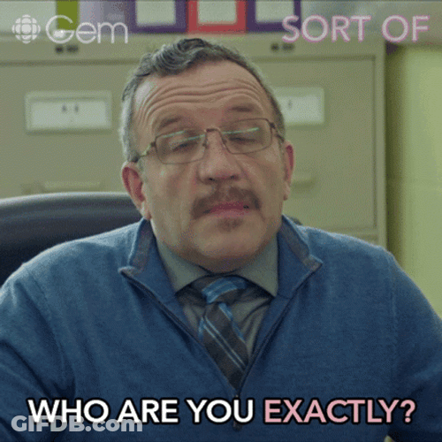 Who Are You Exactly GIF