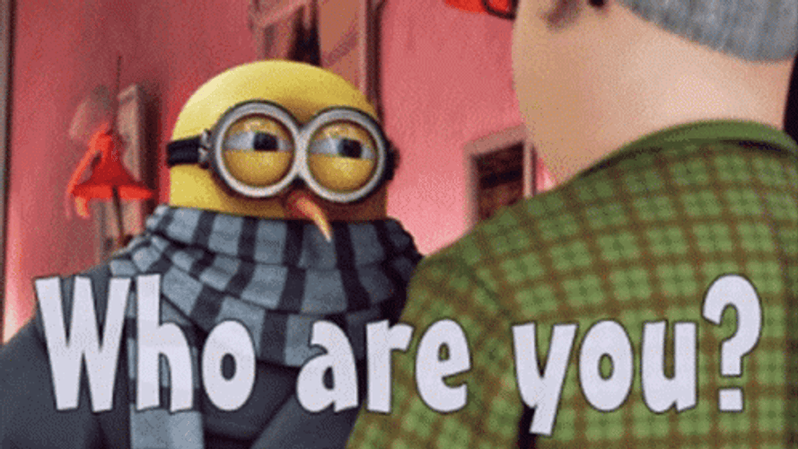 Who Are You Minions GIF