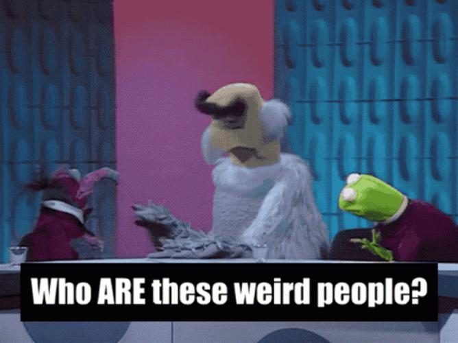 Who Are You People Muppets Gonzo GIF
