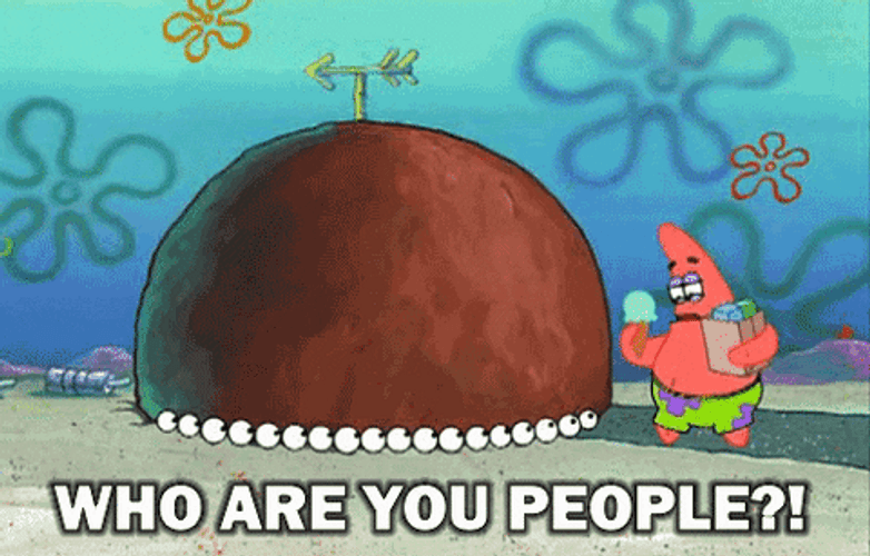 Who Are You People Patrick Starr GIF