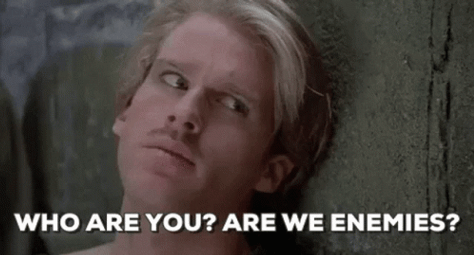 Who Are You Princess Bride GIF