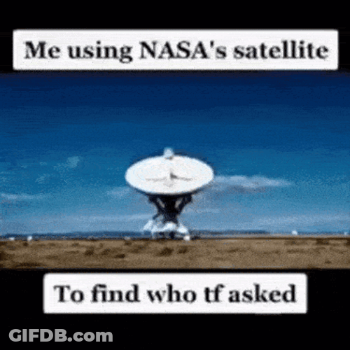 Who Asked GIF