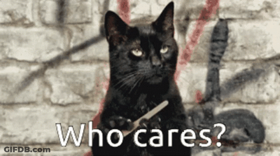 Who Cares Black Angry Cat GIF