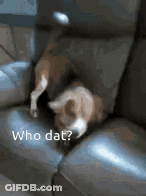 Who Dat Puppy Heard Something GIF