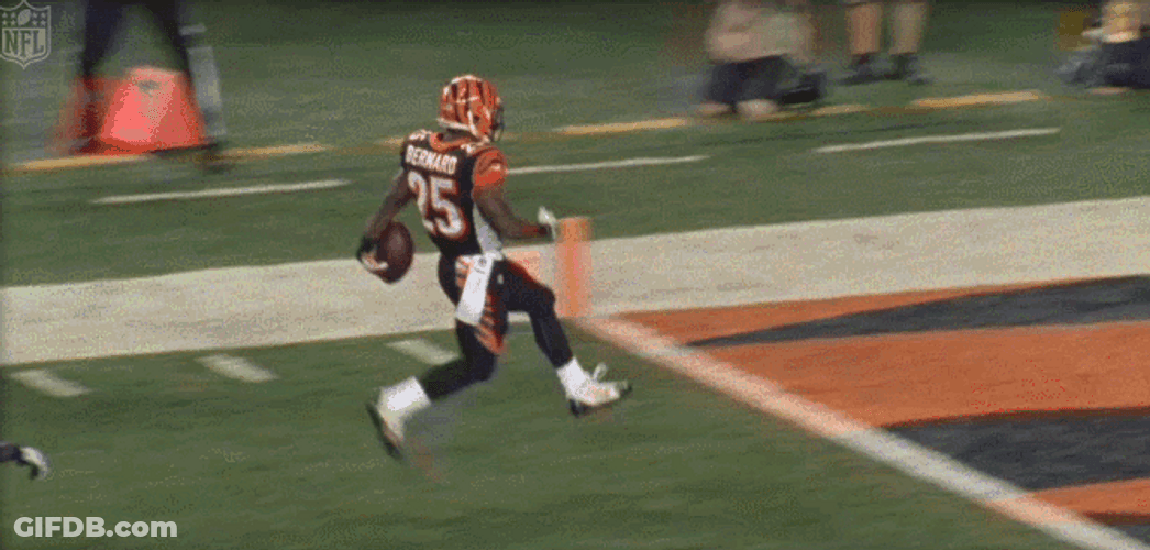 Who Dey Bengals Game Highlights GIF