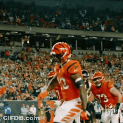Who Dey Bengals Player Hyped GIF