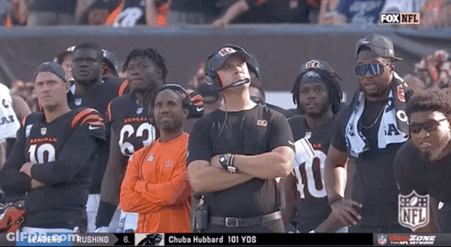 Who Dey Cincinnati Bengals Celebrating Victory GIF