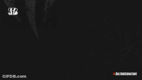 Who Dey In Orange Letters On Black Background GIF