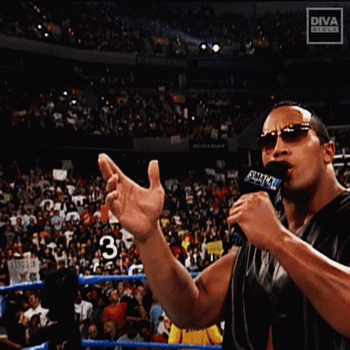 Who In The Blue Hell Are You The Rock GIF