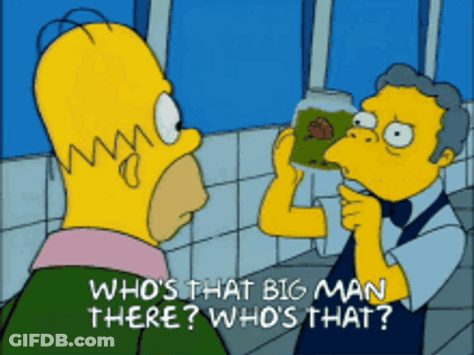 Who Is That Big Man GIF