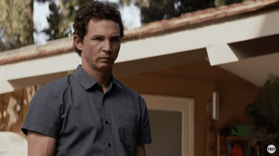 Who Is That Flustered Man Animal Kingdom GIF