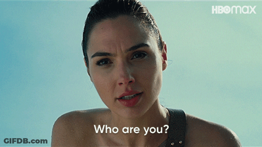 Who Is That Gal Gadot Wonder Woman GIF