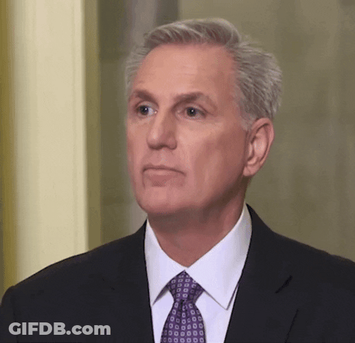 Who Is That Politician Kevin McCarthy GIF