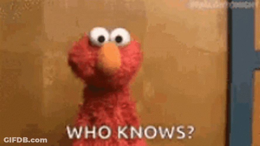 Who Knows GIF