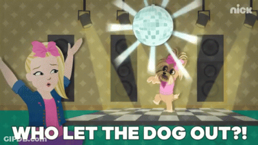 Who Let The Dogs Out Disco Ball Dance Nick GIF