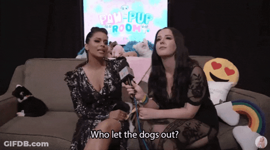 Who Let The Dogs Out Lilly Singh GIF