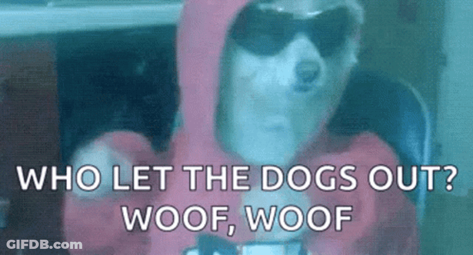 Who Let The Dogs Out Woof Woof Cool Party Dog GIF