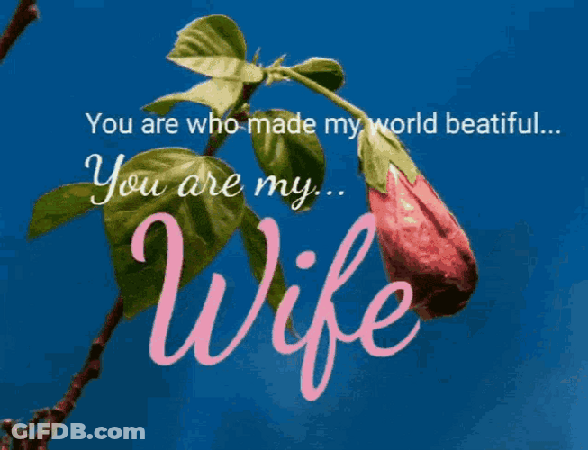 Who Made My World Beautiful My Wife GIF