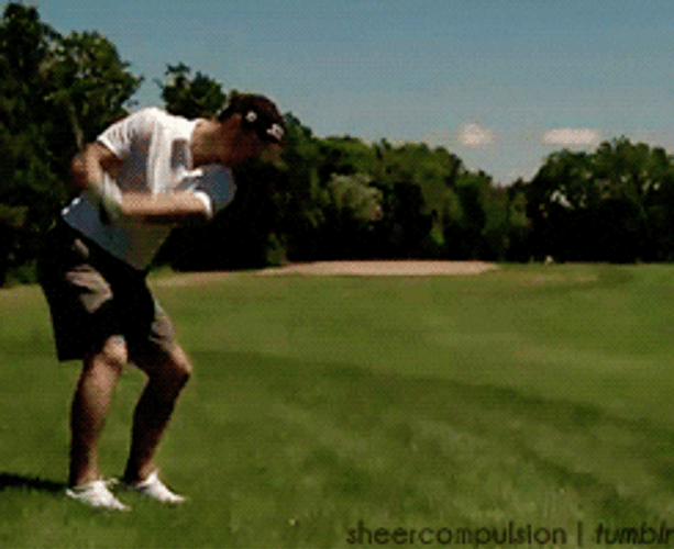 Who's Coming With Me To Get The Ball GIF