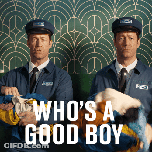 Who's Good Boy Woof GIF