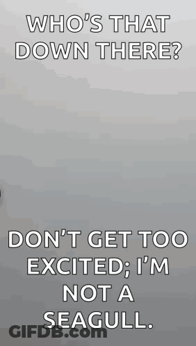 Who 'S That Down There ? Don 'T Get Too Excited ; I 'M Not A Seagull . GIF