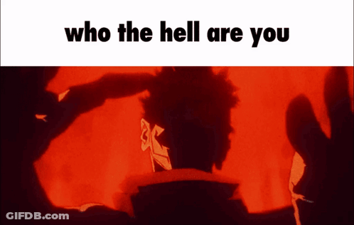 Who The Hell Are You GIF