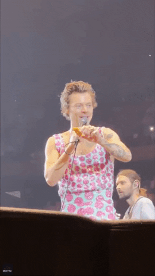 Who Threw The Chicken Nugget GIF