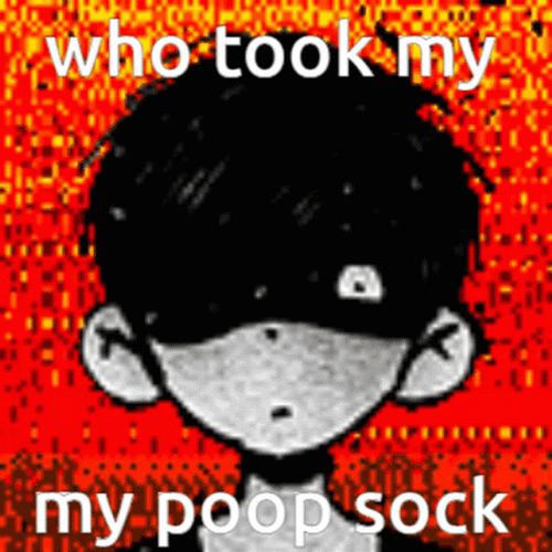 Who Took My Poop Sock Meme GIF