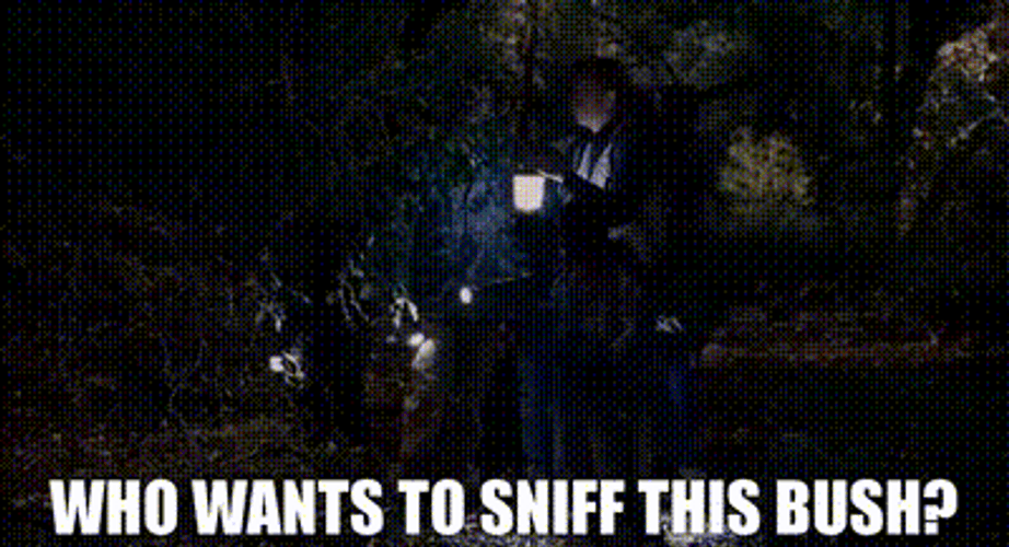Who Wants To Sniff This Bush GIF