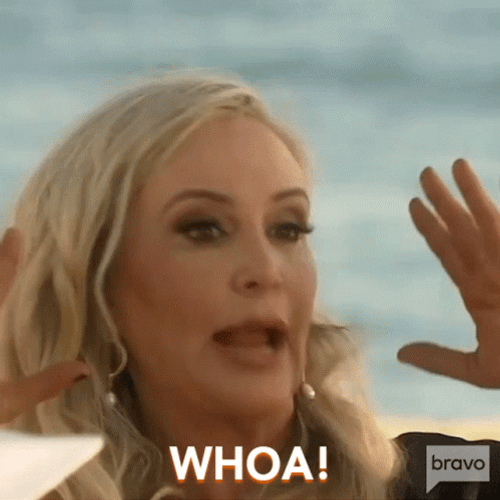 Whoa Real Housewives Of Orange County Hold On Wait GIF