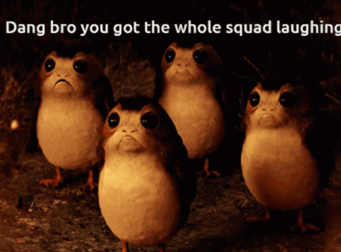 Whole Squad Laughing GIF
