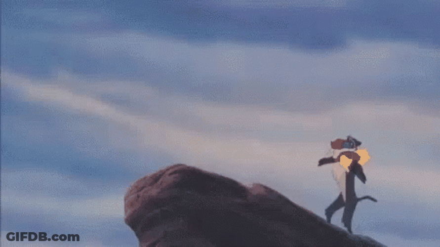 Whoops The Lion King Slipped GIF