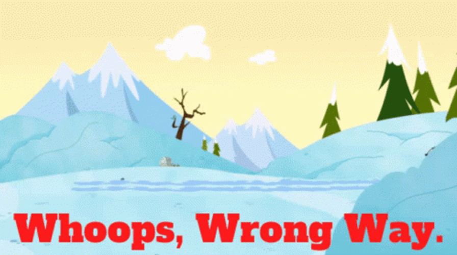 Whoops Wrong Way GIF