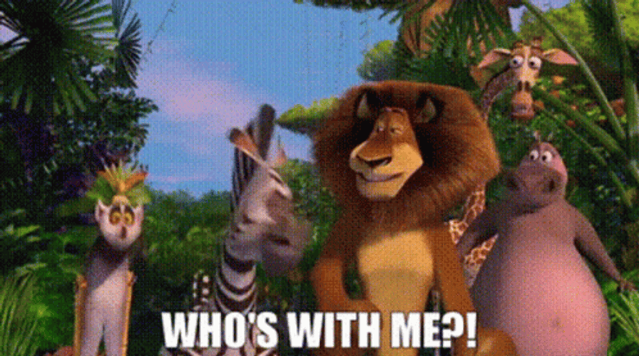 Whos Coming With Me Alex The Lion GIF
