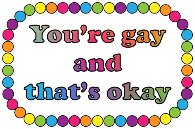 Why Are You Gay That's Okey GIF