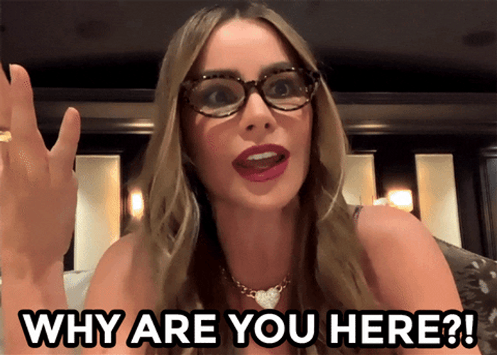 Why Are You Here GIF