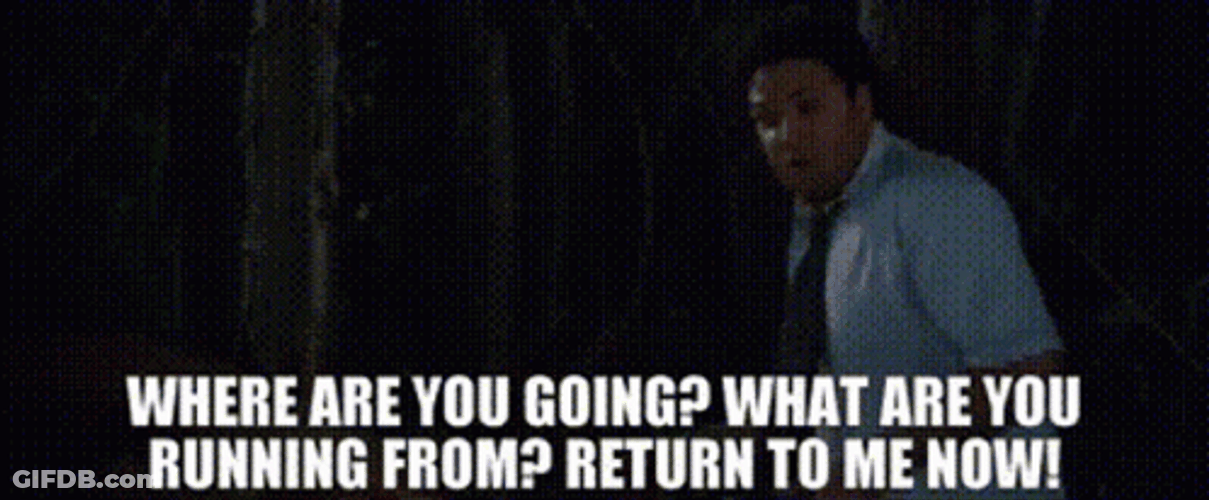 Why Are You Running Seth Rogen GIF