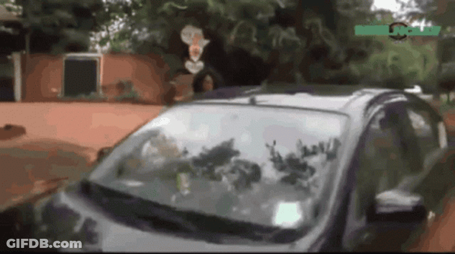 Why Are You Running GIF