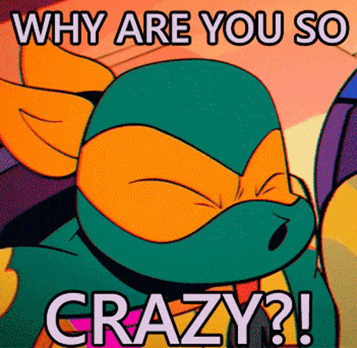 Why Are You So Crazy GIF